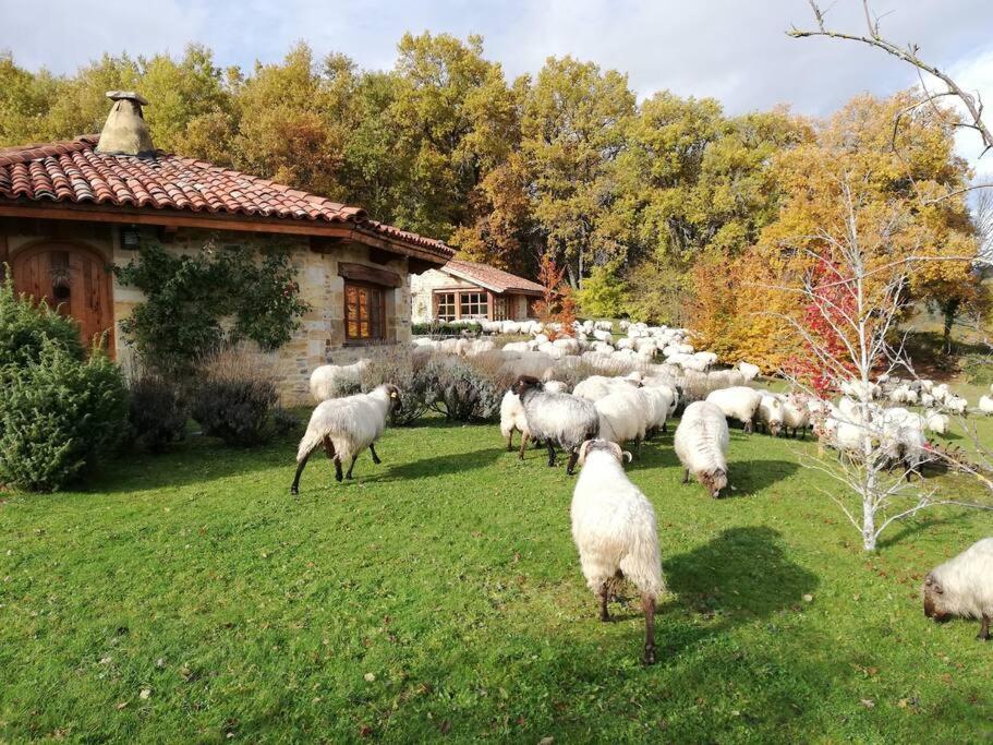Guikuri Octogono Casa Rural 1, 2 Y 3Pax Villa Murua Exterior photo